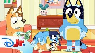 FULL BLUEY MINISODE | Hungry | @disneyjr x @BlueyOfficialChannel