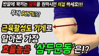 근육활성도로 알아본 팔뚝을 키우는 가장 효율 높은 운동은!?│삼두운동 3가지만 알면 삼두 마스터!│'팔 근육'을 가장 빠르게 키우는 방법!