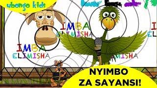 Imba Nyimbo za Sayansi na Mama Ndege! | Ubongo Kids | Katuni za Elimu kwa Kiswahili