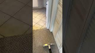 Carpet Cleaning in Brooksville FL