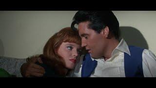 Elvis Presley - Could I Fall in Love