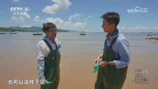 《远方的家》 20230630 山河锦绣看中国 南海之滨 和谐家园|CCTV中文国际