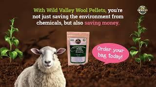 Wild Walley Farms: Packed With 100% Organic Wool