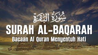 SURAH AL BAQARAH - Setan Kabur dari Rumah - Penenang Hati dan Pikiran - Ismail Al Qadi