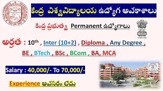 University Non Teaching Recruitment 2025 || Central Government jobs || All govt jobs Telugu