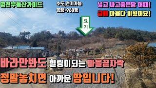 대창면 산자락아래 마을끝자락 최고의힐링지 특급귀촌귀농땅급매  (960평)매매금액:평당15만원 [매물번호555]/영천부동산가이드/영천부동산