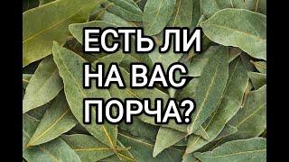 ЕСТЬ ЛИ НА ВАС ПОРЧА?ОЧЕНЬ ПРОСТОЙ МЕТОД!ЛАВРОВЫЙ ЛИСТ В МАГИИ