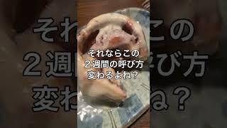 【さすがに無理か】14日間毎日食べ過ぎた人専用動画