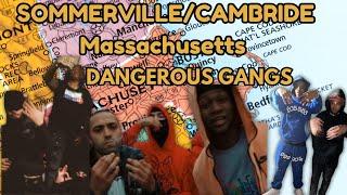 Dangerous Gangs in Cambridge & Somerville, Massachusetts: Origins, Rivalries, and Alliances