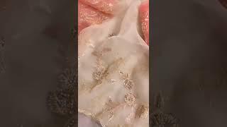 Latest Bridal Punjabi suit| shorts#ytshorts#trending#viral#reels#new#bollywood#punjabi#suit