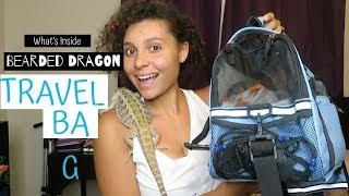 What's Inside My Bearded Dragon's Travel Bag (Favorite reptile items)