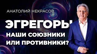 Эгрегоры - что это и  как работает? Анатолий Некрасов психолог, писатель