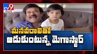 Adorable video of Chiranjeevi's grand daughter goes viral - TV9