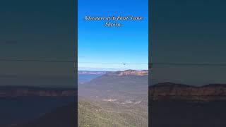 Beautiful scenic skyway #bluemountains  #nature #travel #shorts #australia #scenicview #skyway 