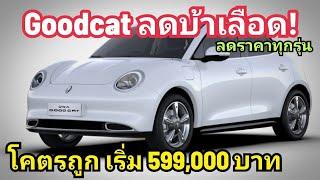 ลดโหด! Ora Good Cat ลดแหลก เริ่ม 599,000 บาท เท่านั้น ราคานี้ ไม่ซื้อ ก็บ้าแล้ว