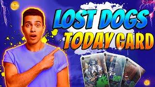 Lost Dogs Today Card | how to find lost dogs card