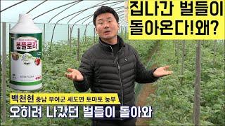 [한국농수산TV] 집나간 벌들이 돌아온다! 아니 남의 것도 빼앗아 온다!! 왜? 붐플로라 효과~충남 부여