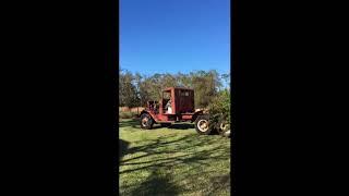 Federal Tree Removal