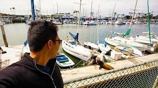 Pros and Cons of Living in Marina Del Rey