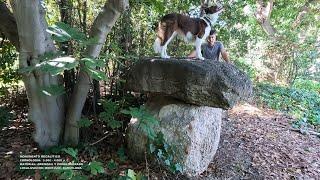 EL DOLMEN DE MONTJUÏC: UN ESCANDALO ARQUEOLÓGICO