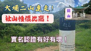 【大埔二山連走！】社山性價比高！【一路行一路講】