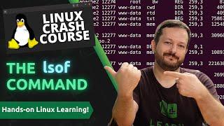 Linux Crash Course - The lsof Command