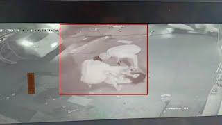 Caught on CCTV, girl kidnapped hours before wedding in Muktsar, Punjab