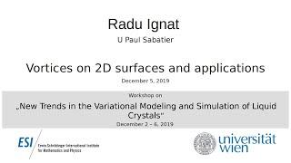 Radu Ignat - Vortices on 2D surfaces and applications