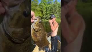 Smallmouth bass (catch and release)