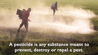 Protect Yourself From The Harms Of Pesticides