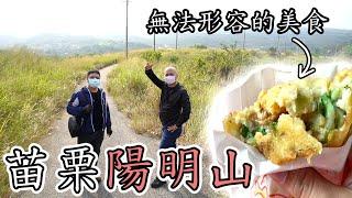 苗32鄉道，苗栗海線美食半日遊，白沙屯特色美食東北香粑粑、馥湘茶飲、苗栗陽明山(自稱)-[吃漢日常]