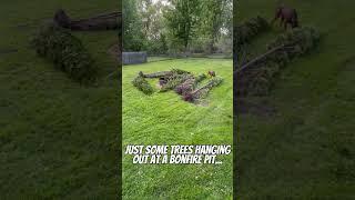 Goofy Things You Think Up-Trees Sitting Around A Bonfire Pit- I Think I Need A Vacation