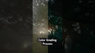 How I Color Grade My Videos