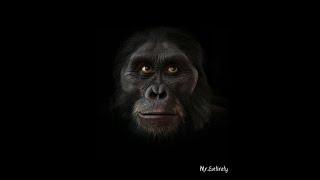 6 million years of Human Evolution in 40 seconds | HD |