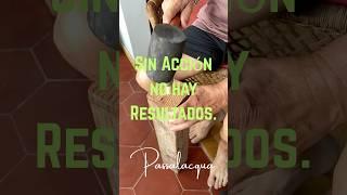 Sin Acción no hay Resultados - Escultor Ciego - Luis F. Passalacqua