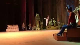 Swan lake Kimin Kim , Кимин Ким Лебидиное озеро  Mariinsky