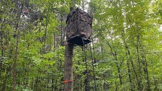 Not Your Average Two-Man Ladder Stand