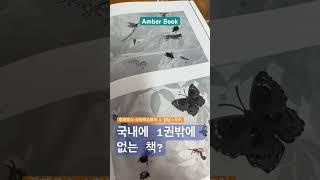 국내에 한권밖에 없는 곤충도감? #루페우스 #천연원석 #화석 #amber