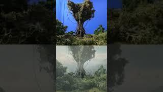 New Creation "The World Tree".#cinematic  #miniature #filmmaking #videoproduction #movies