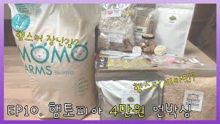 [시월] 햄토피아 4만원 언박싱 (Unboxing Hamtopia 40,000 won)