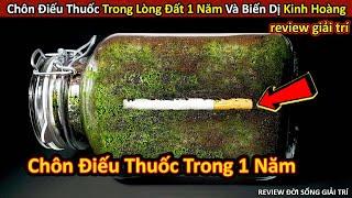 Chôn Điếu Thuốc Trong Đất Suốt 1 Năm Và Biến Đổi Kinh Hoàng || Review Giải Trí Đời Sống