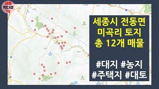 세종시 토지 - 전동면 미곡리 토지 12개 소개 (미스터홈즈 세종센터 매물입니다)