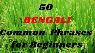 50 Common BENGALI Phrases for Beginners