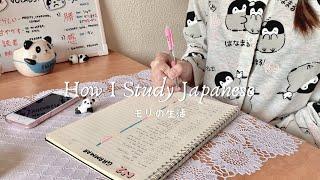 How I Learn and Study Japanese | Tips for Beginners When Studying Nihongo