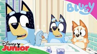 Looking After Shaun | Bluey  | Disney Junior Arabia