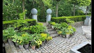 The Sunken Garden - foliage plants in containers