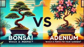 Bonsai vs Adenium: Which Plant is Perfect for Your Garden | SL Agri Tips