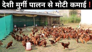 2.5 लाख महिने की नौकरी छोड़ शुरू किया Free Range Poultry Farm | Desi Poultry Farm Business Plan