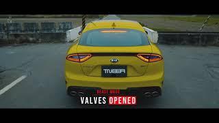 Kia Stinger 3.3 AWD GT x Tneer Exhaust