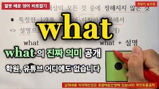 what 의 진짜 의미 공개!! / 한국에서 이런 설명은 처음일 것입니다 / 호랑이송선생 Ch.12